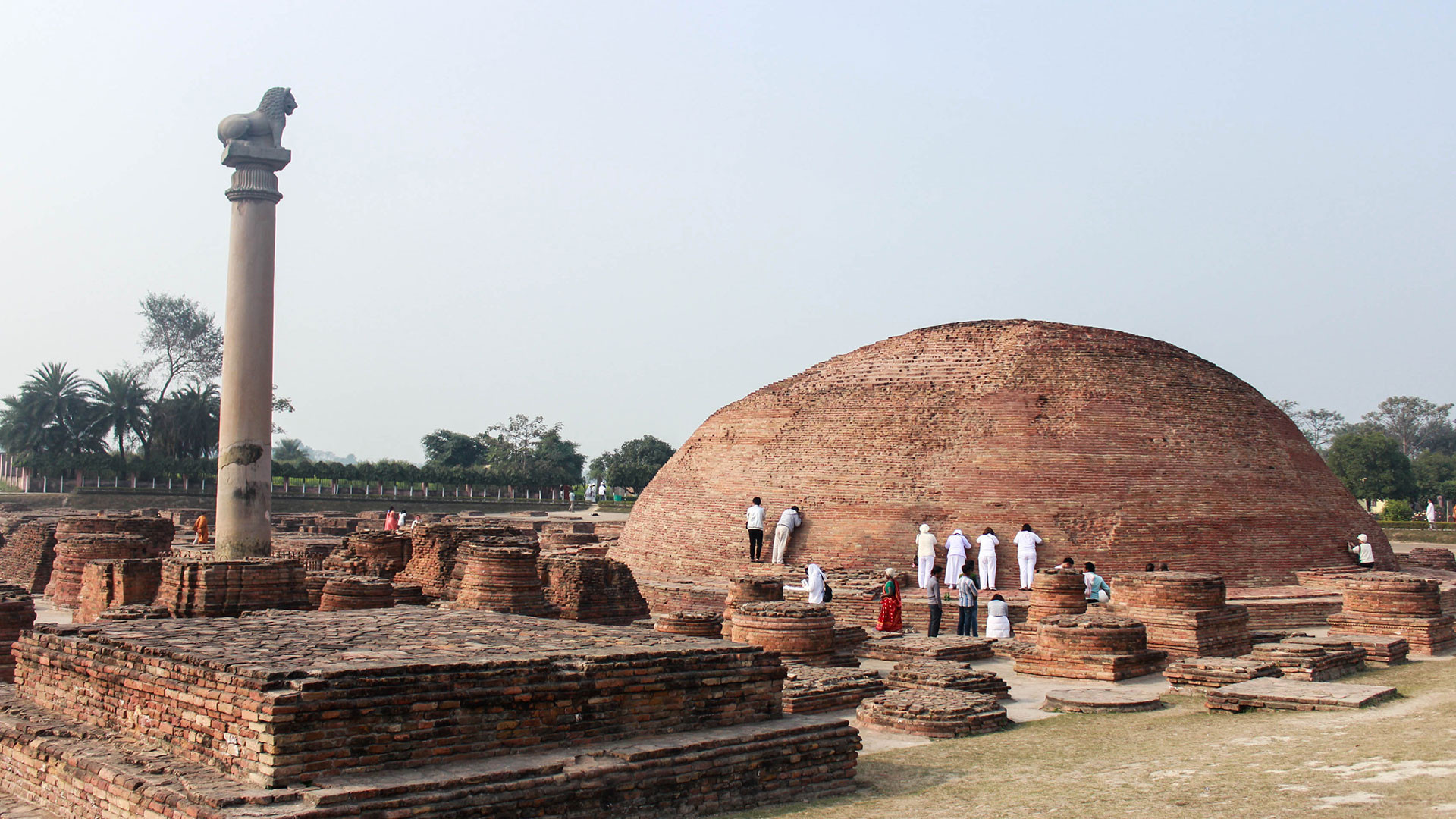 vaishali-img
