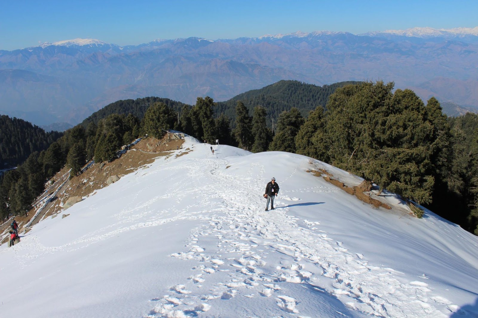 dalhousie-img