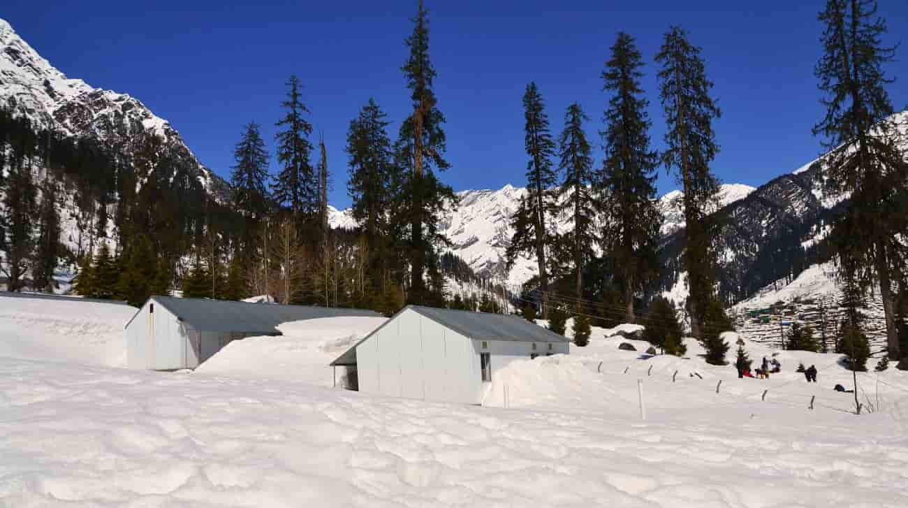 solan-img