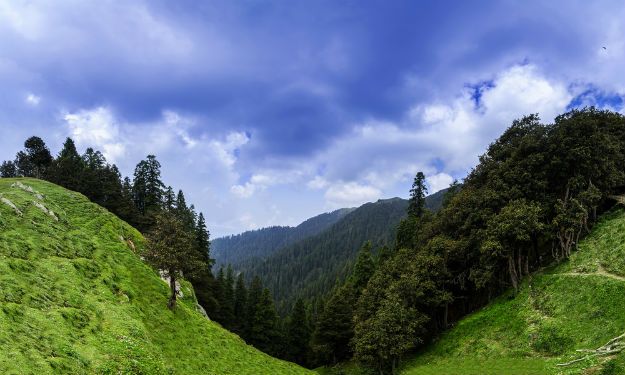 mandi-img
