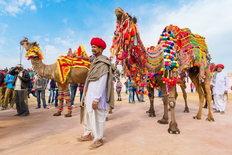 pushkar-img