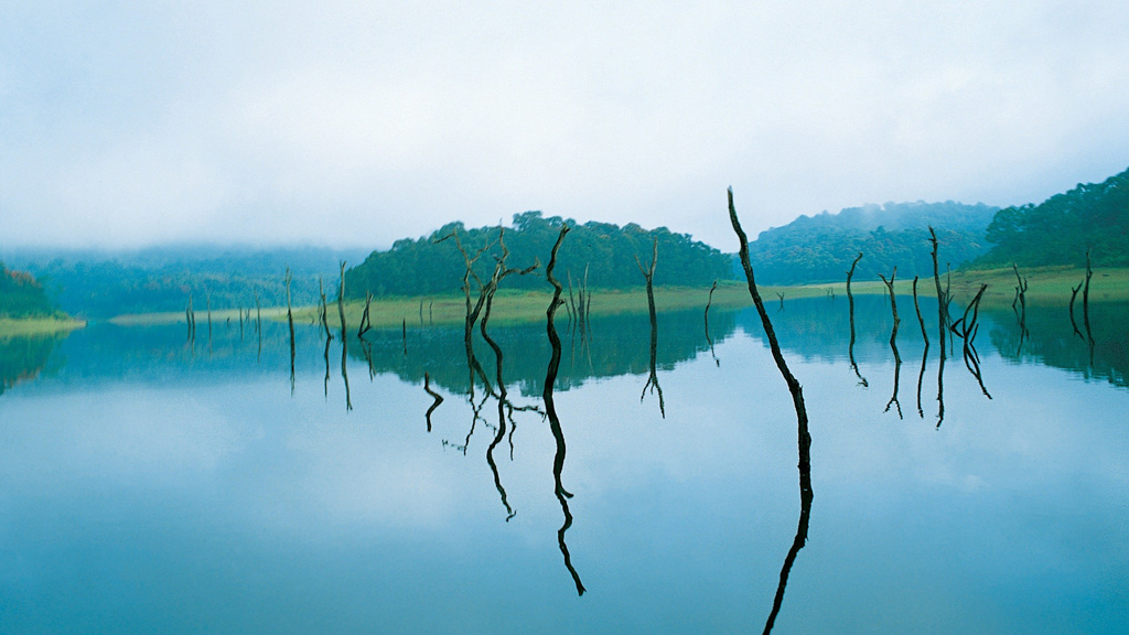 thekkady-img