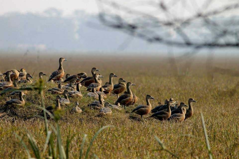 bharatpur-img