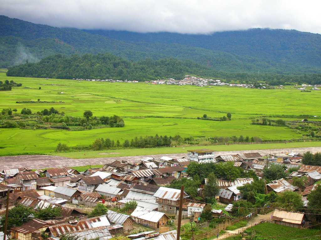 ziro-img