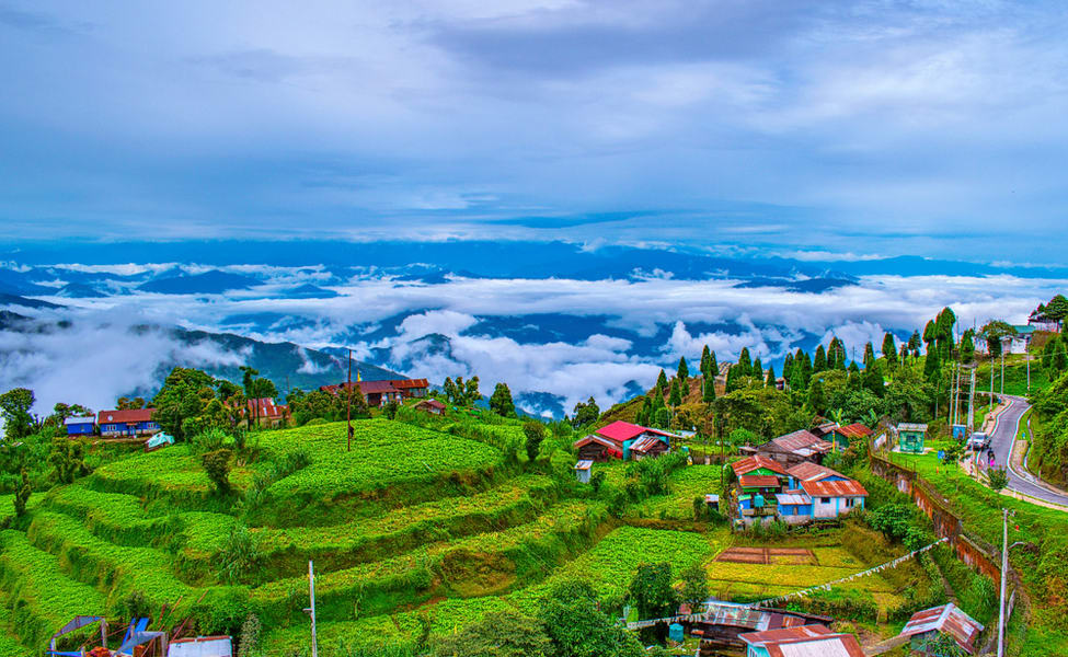 darjeeling-img