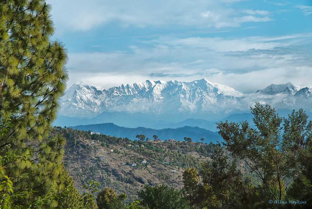 almora-img