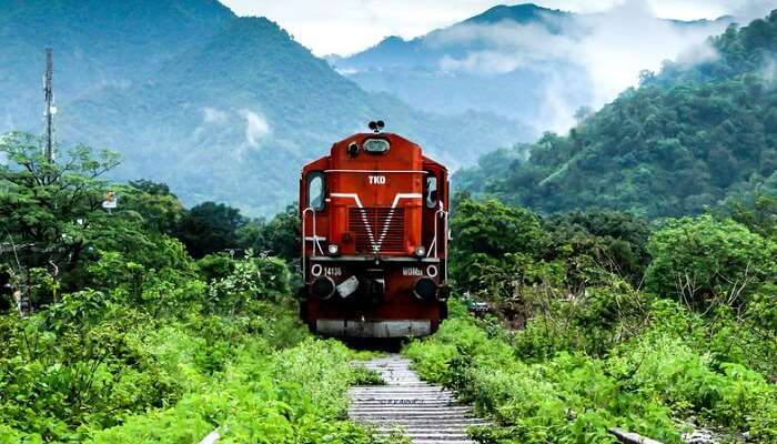 haldwani-img