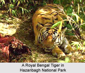 hazaribagh-img