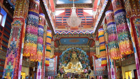 pelling-img