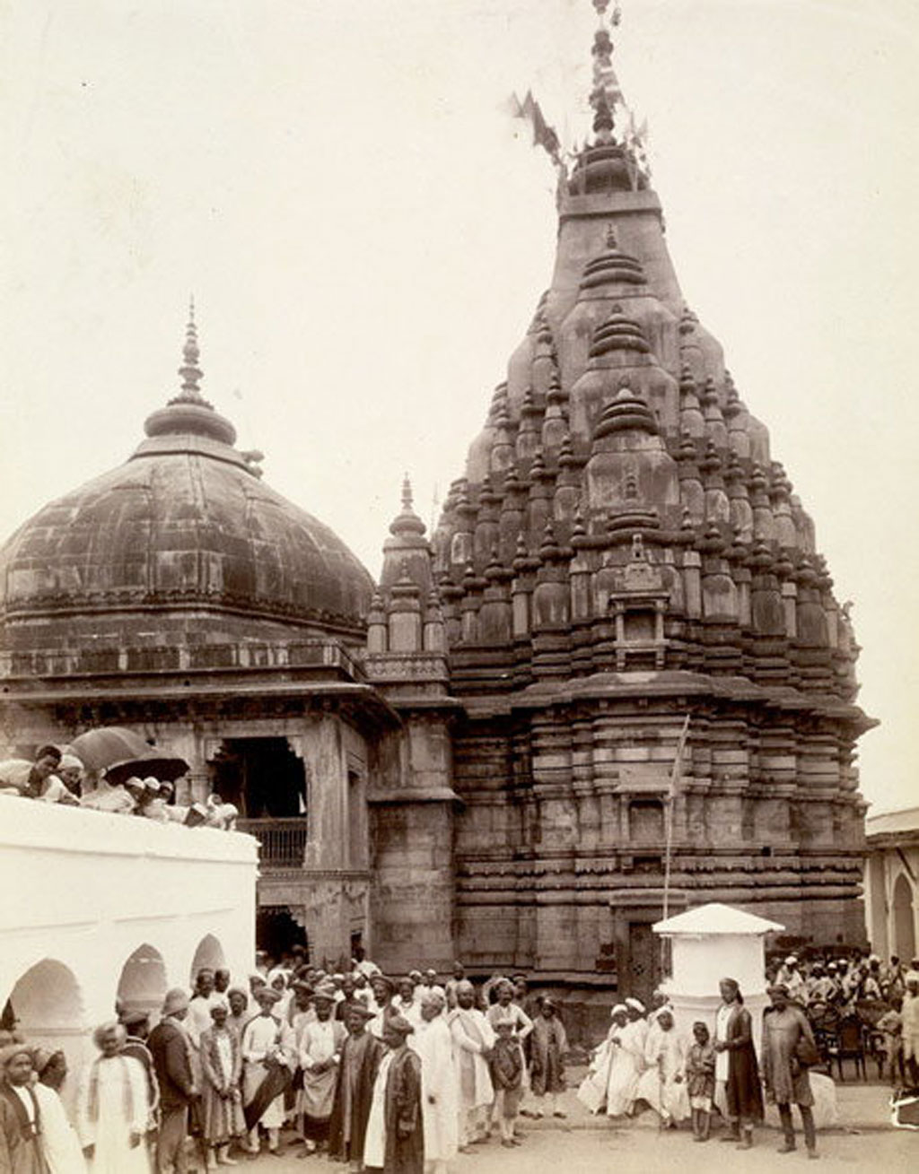 gaya-img