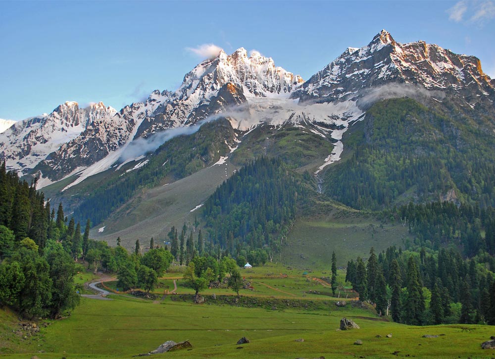 sonmarg-meadow-of-gold-img