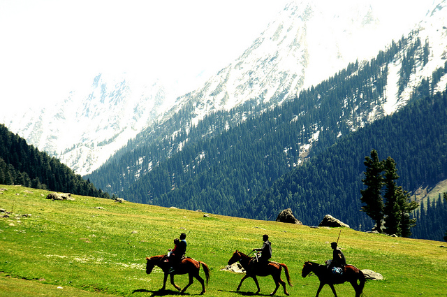 pahalgam-a-trekkers-paradise-img