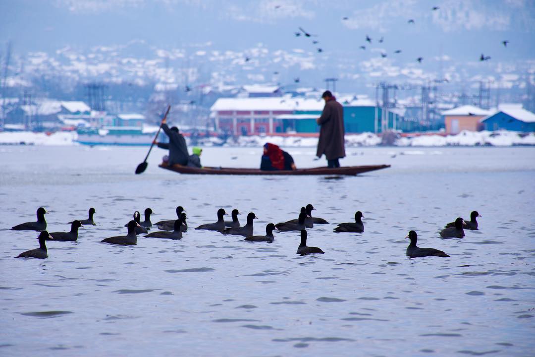 srinagar-the-paradise-on-earth-img