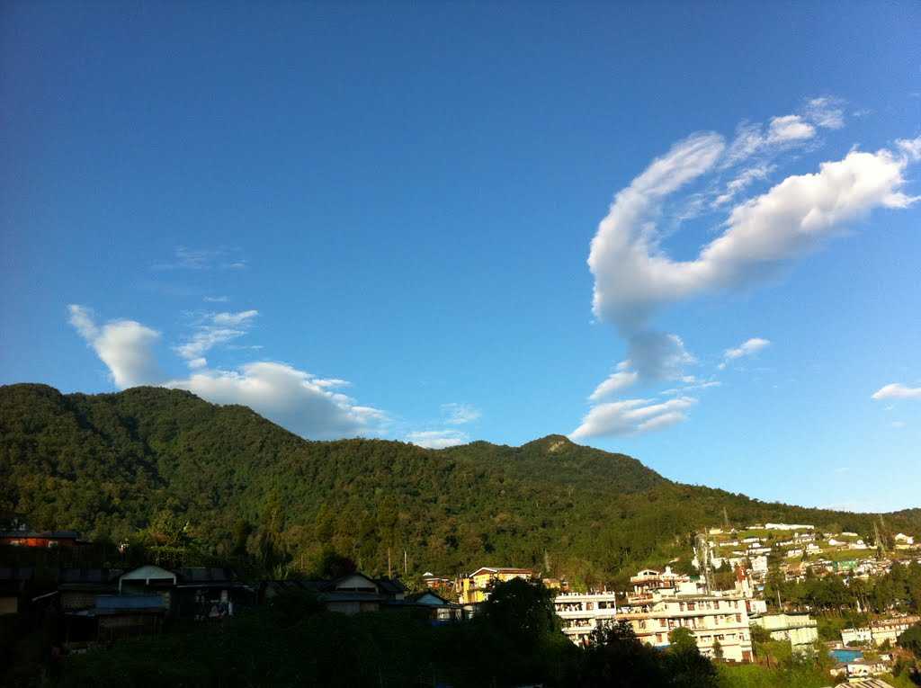 kohima-img