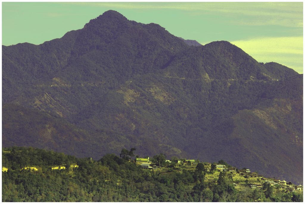 peren-the-land-of-virgin-forests-img