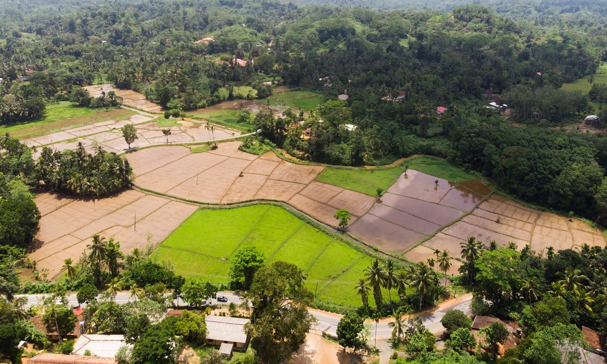 kakinada-fertilizer-city-img