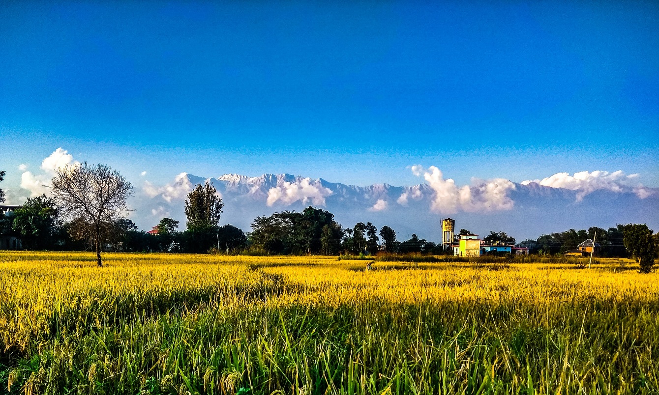 palampur-img