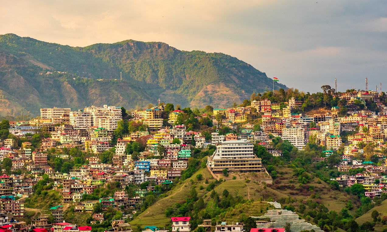 solan-mushroom-city-of-india-img