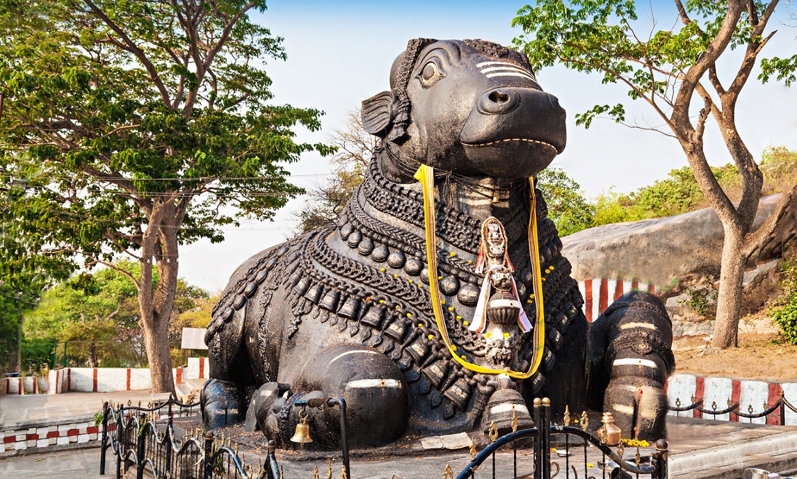 mysore-city-of-palaces-img