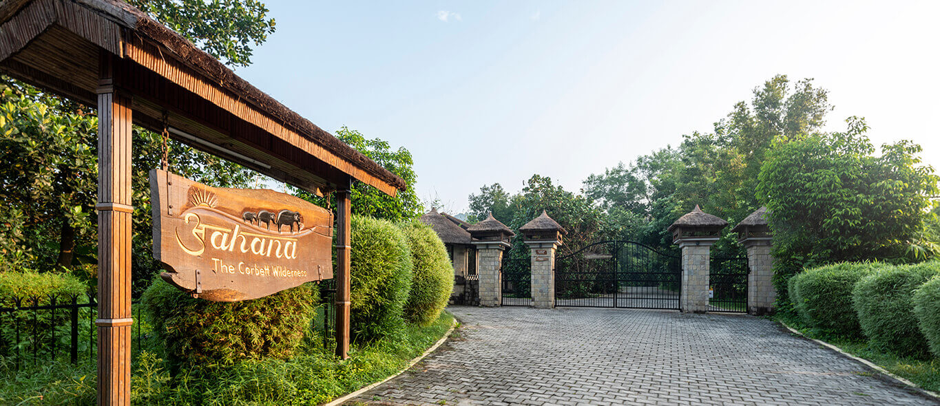 Aahana - The Corbett Wilderness-img
