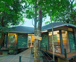 Adithya Nature Resort & Spa-img