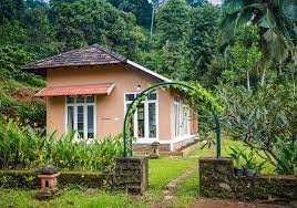 After The Rains Wayanad-img