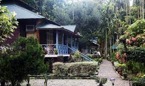 Aranya Jungle Resort-img