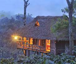 Aranyakam Homestay-img
