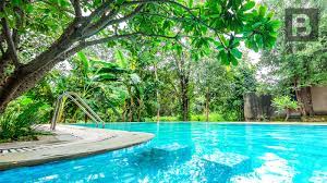 Beyond Stay Mahua Vann Pench-img