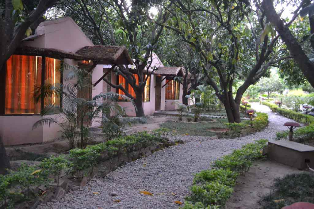 Corbett Wild Resort-img