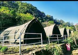Crocus River Resort-img