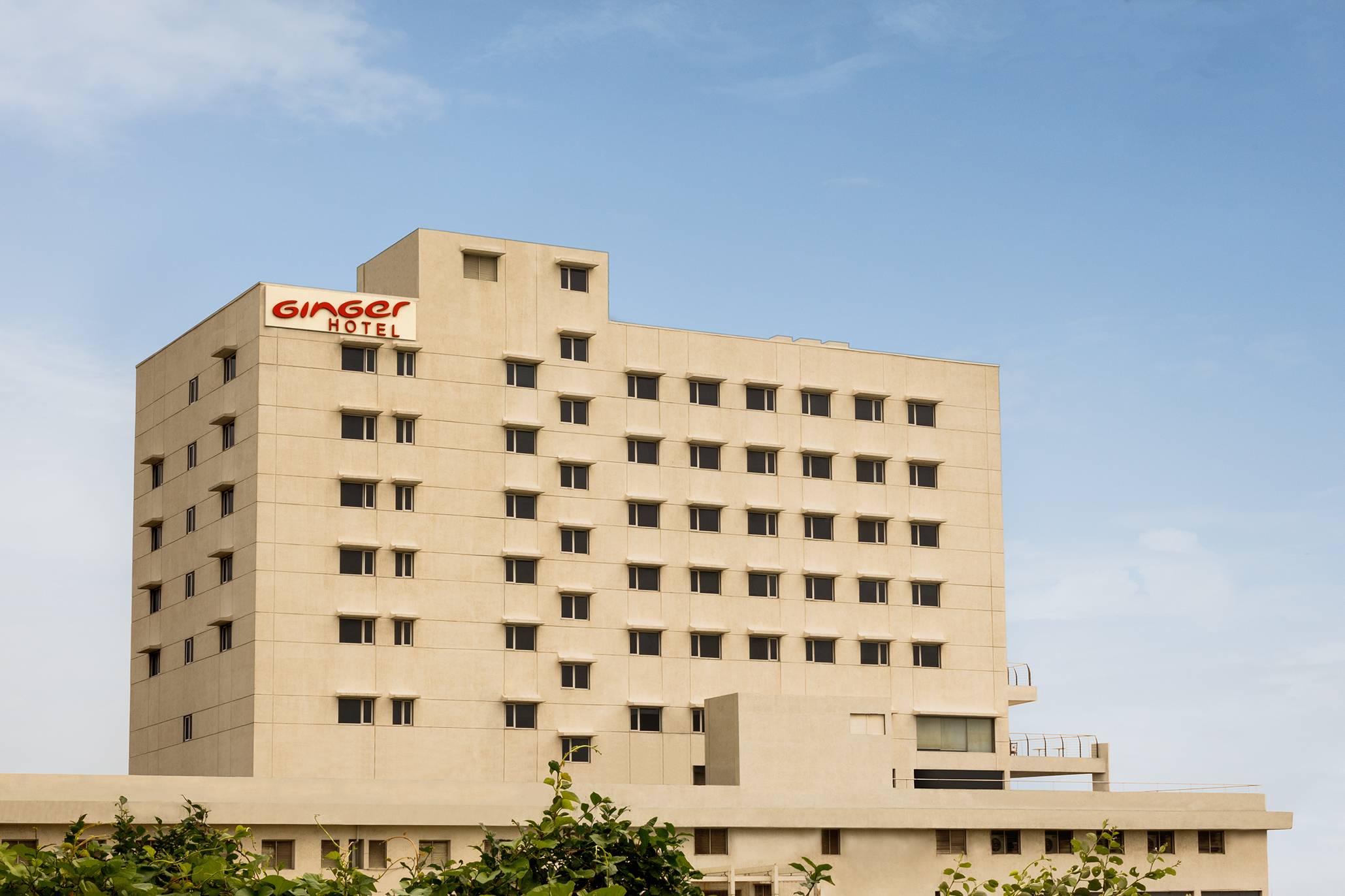 Ginger Vapi-img