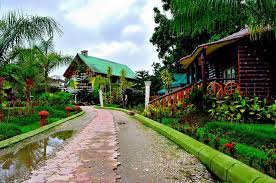 Hatihana The Green Castle-img