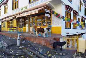 Hotel Deyzor-img
