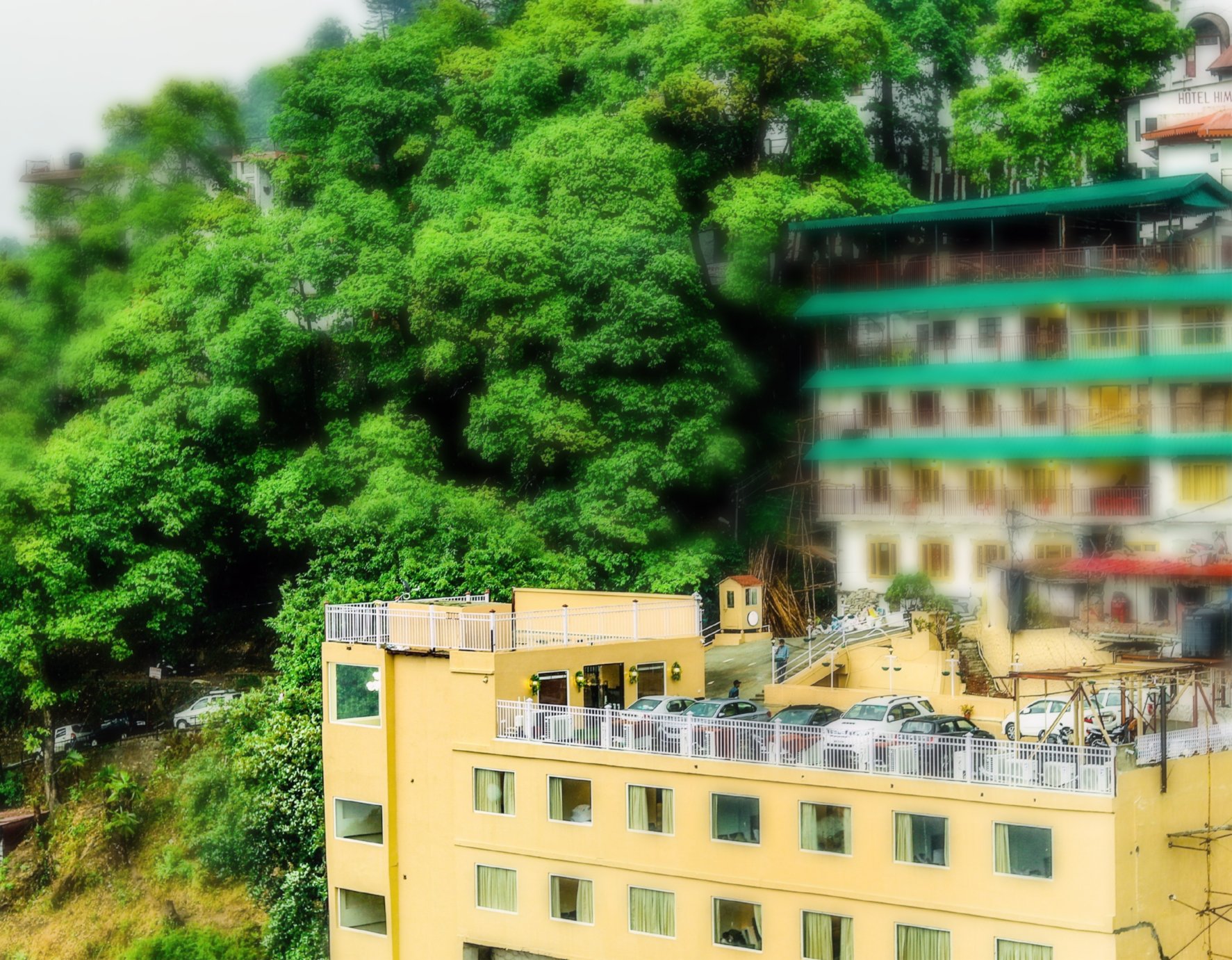 Hotel EllBee Mussoorie Hills-img