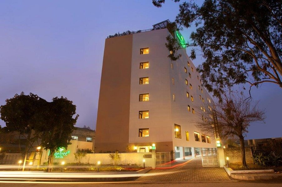 Hotel Lemon Tree, Chandigarh-img
