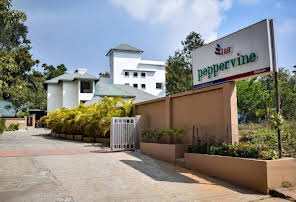 Hotel PepperVine-img