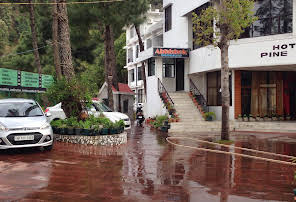 Hotel Pine Grove-img