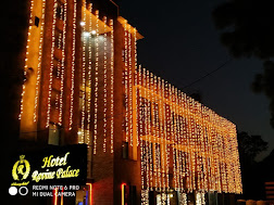 Hotel Ravine Palace-img