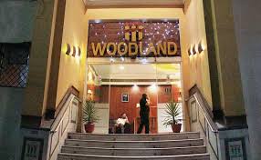 Hotel Woodland-img