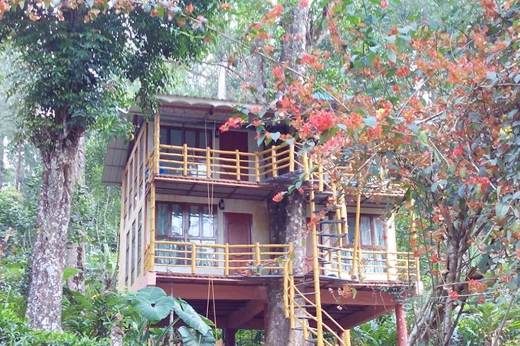 Jungle Jive Tree House Munnar-img