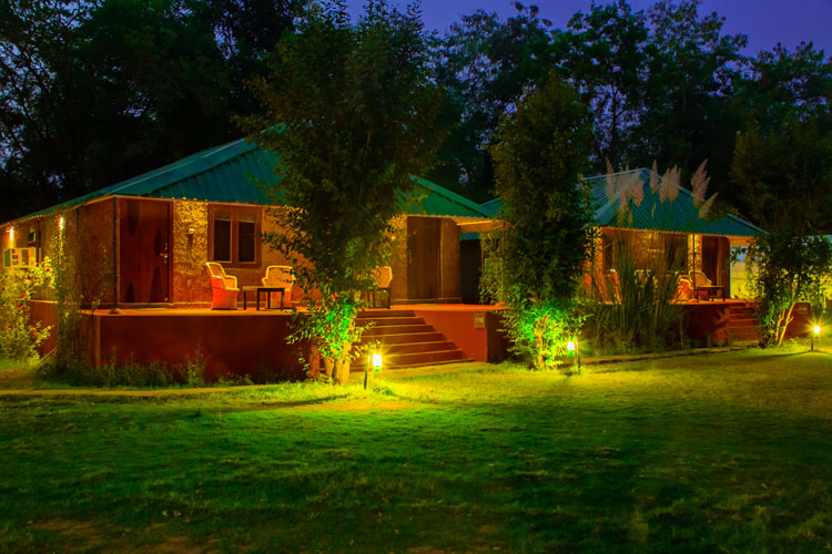 Jungle View Resort-img