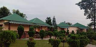 Kadambini Jungle Resort-img