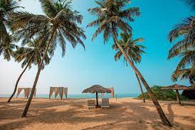 Malabar Ocean Front Resort and Spa-img