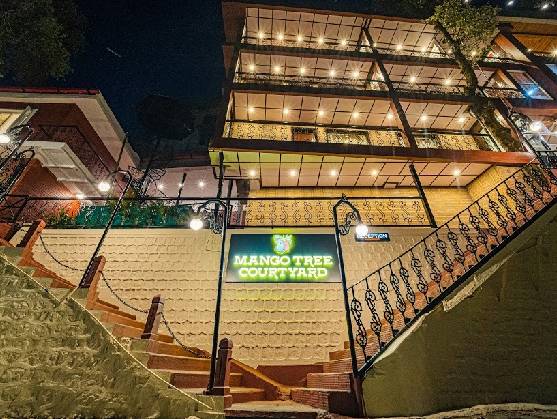 Mango Tree Courtyard Mussoorie-img