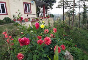 Monal Resort Abbott Mount-img