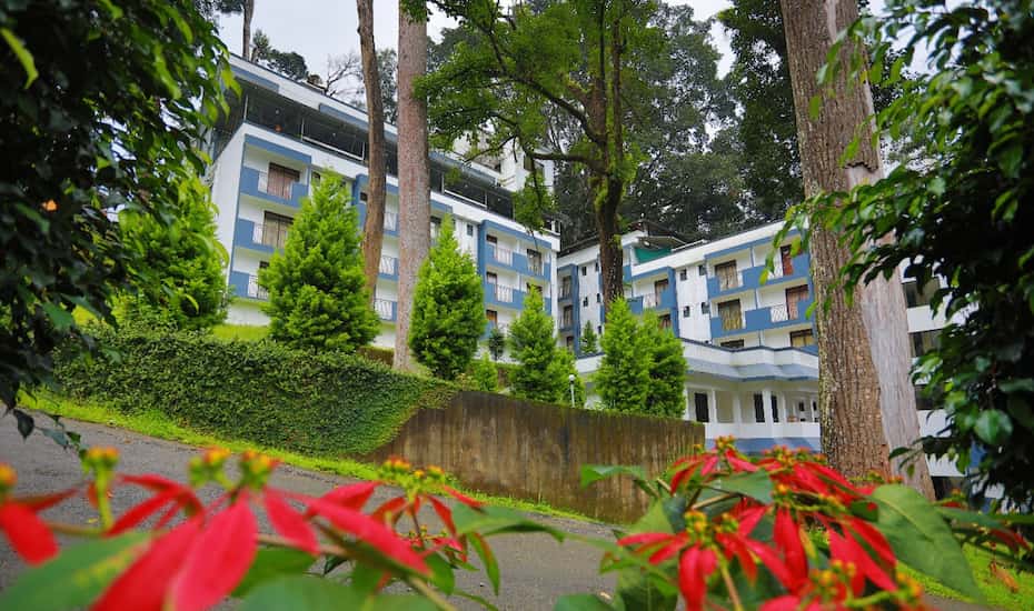 Munnar Black Forest-img
