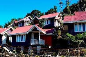 Mystic Orchid Retreat-img