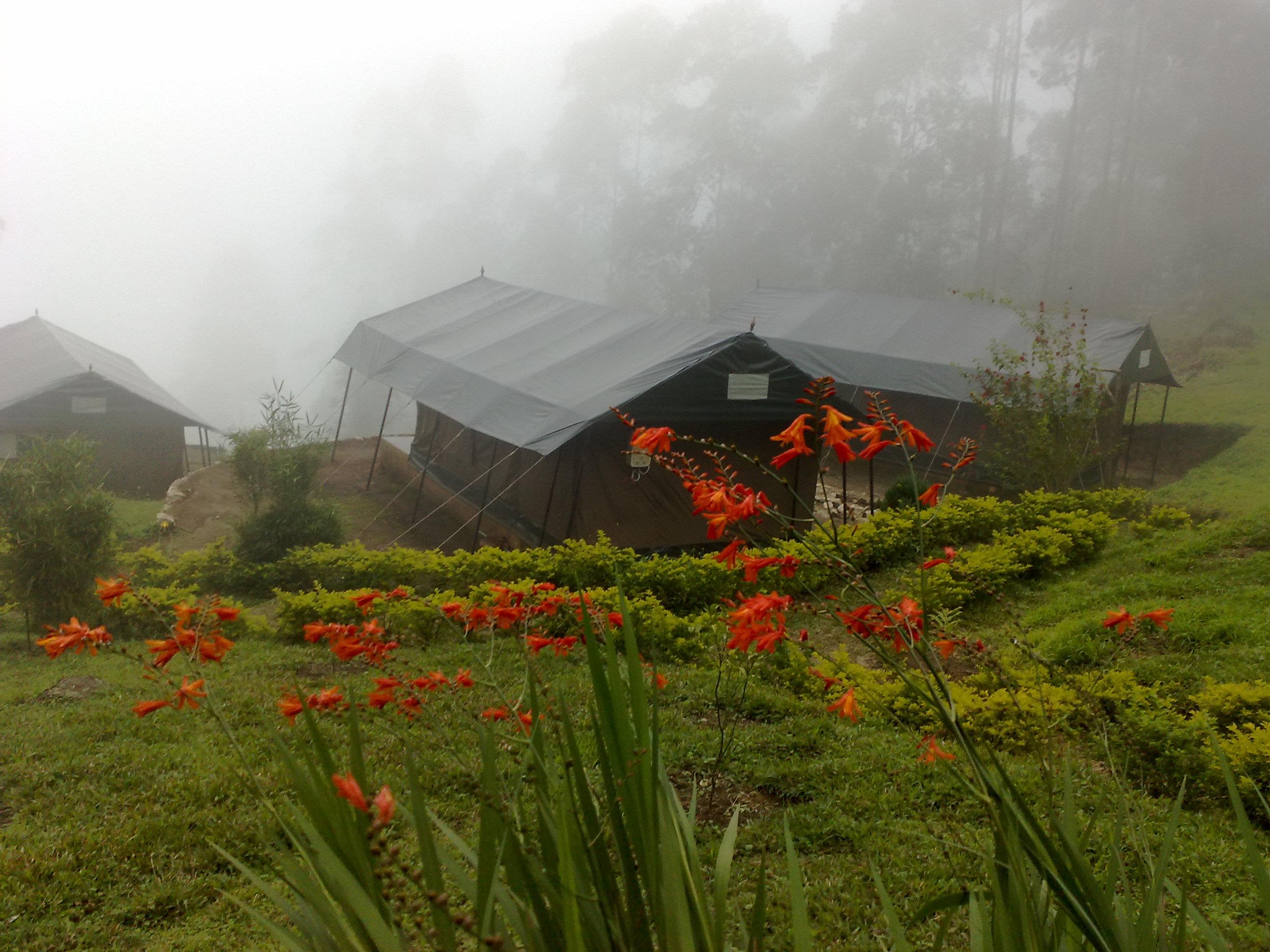 Nature Zone Resort, Munnar-img