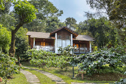 Nexstay Vythiri Mist Resort-img